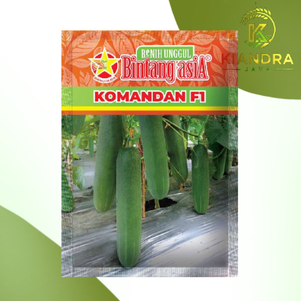 BIBIT TIMUN KOMANDAN F1 ISI 20GRAM DARI BINTANG' ASIA.