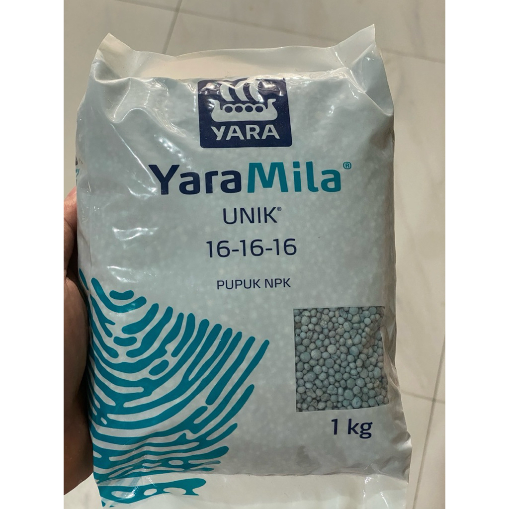 pupupk NPK 16.16.16 yaramila unik