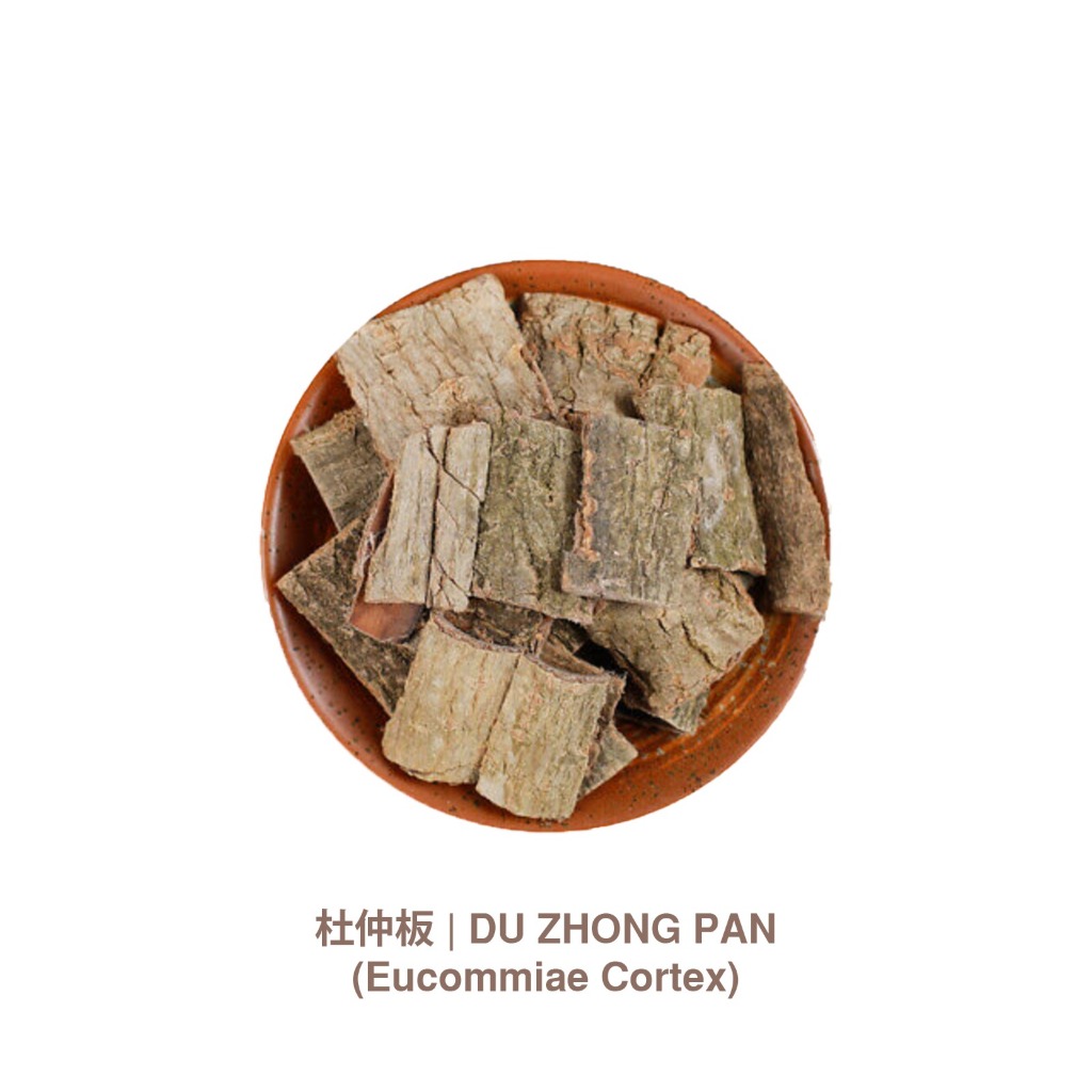 Du Zhong Pan | Eucommiae Cortex
