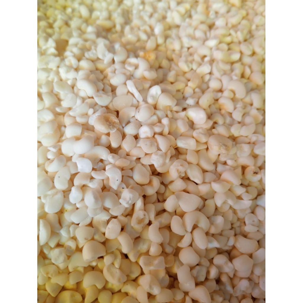 Jagung Bassang/ Bassang pulut