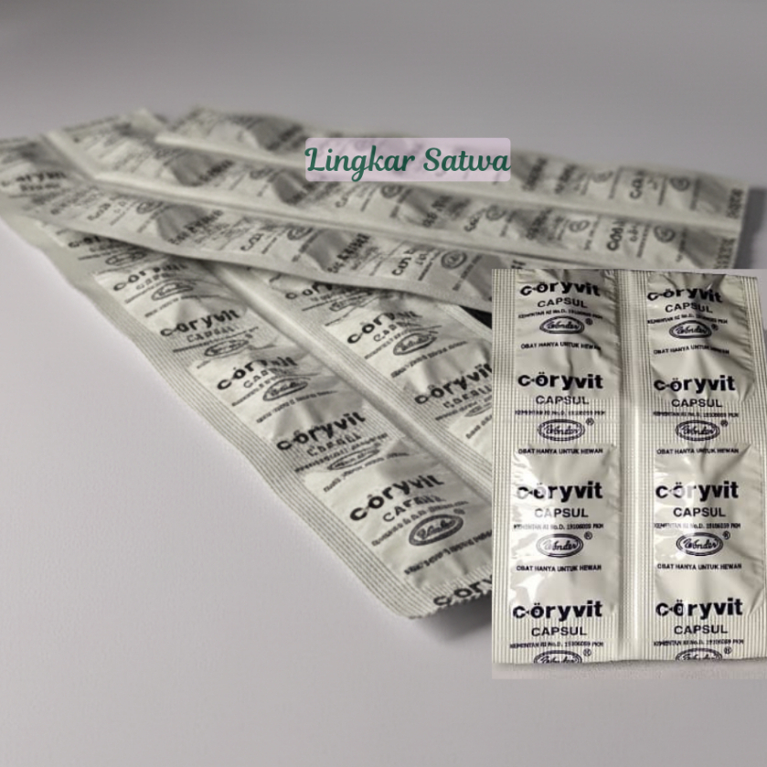 Coryvit Capsul obat hewan