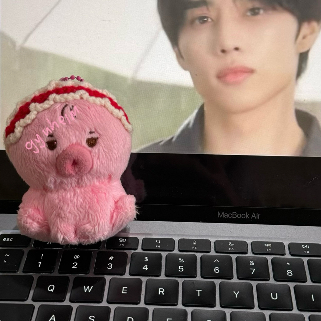 tteonko mini doll sunwoo the boyz