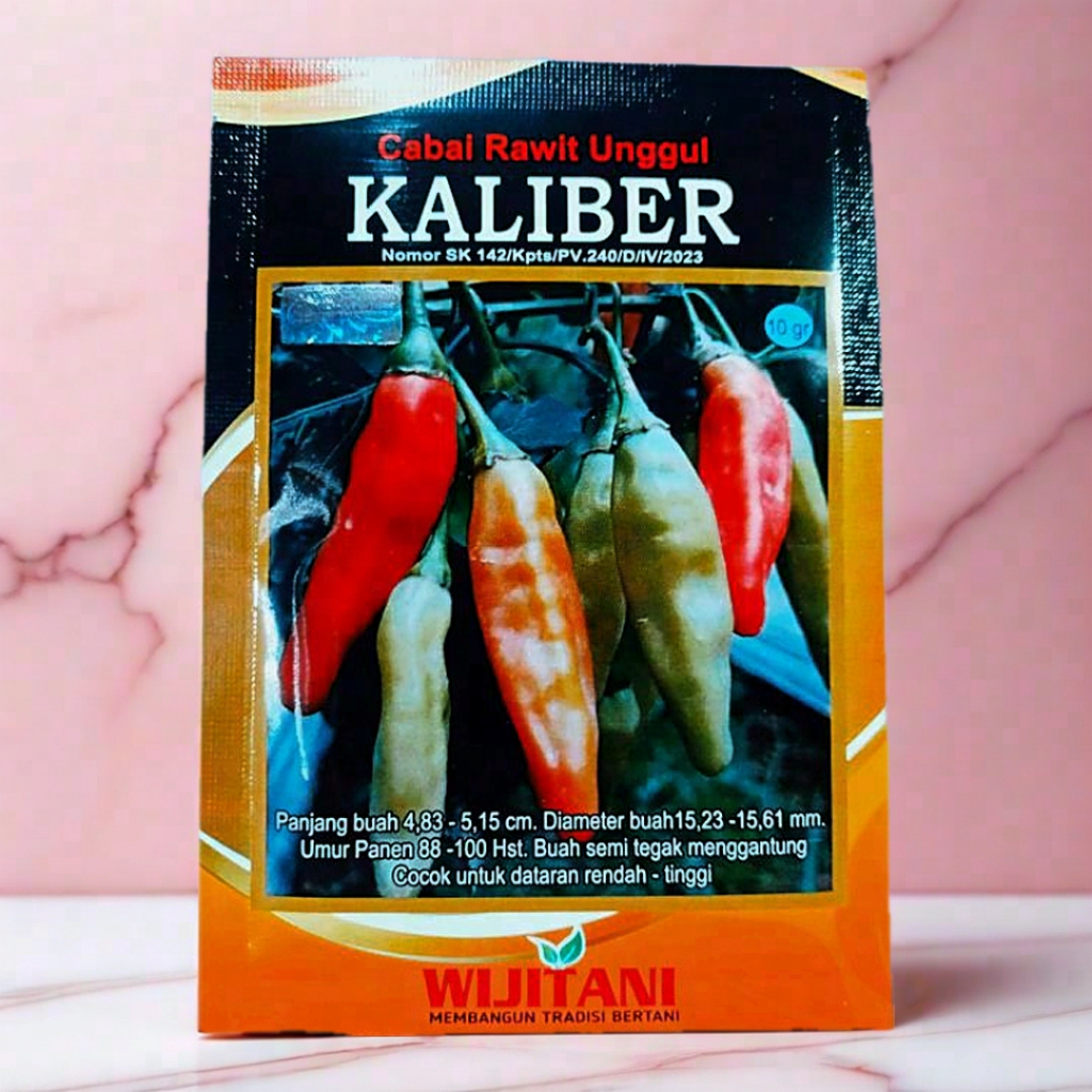 benih cabai rawit unggul KALIBER