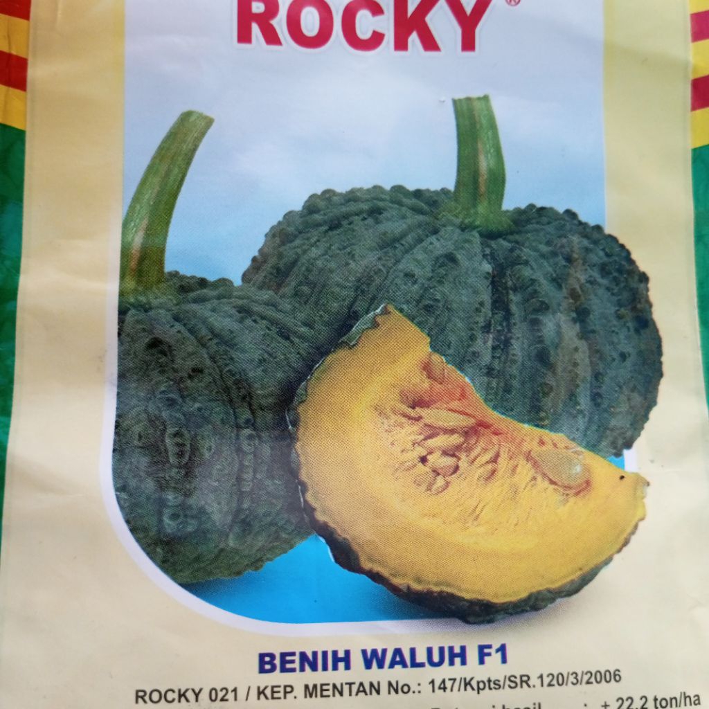 Bibit benih Labu rocky pulen manis 16 biji