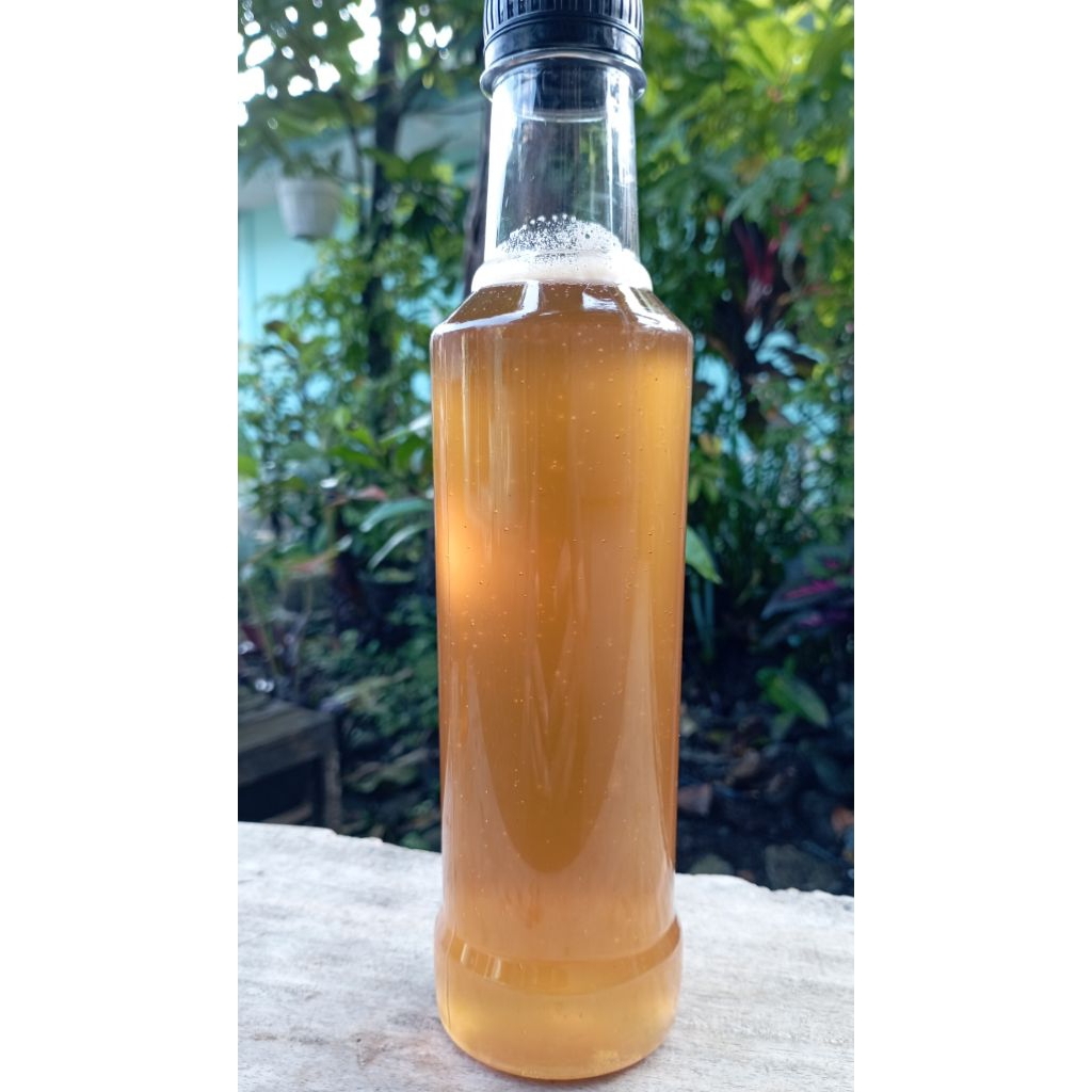 Madu hutan Liar Asli Apis Dorsata