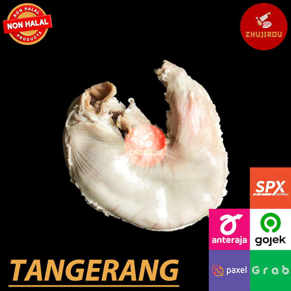 Jeroan Babi Tito / Jerohan Babi Tito / Tito Lambung / Perut / Cutu / Daging Babi / XO / HAIDILAO - Z