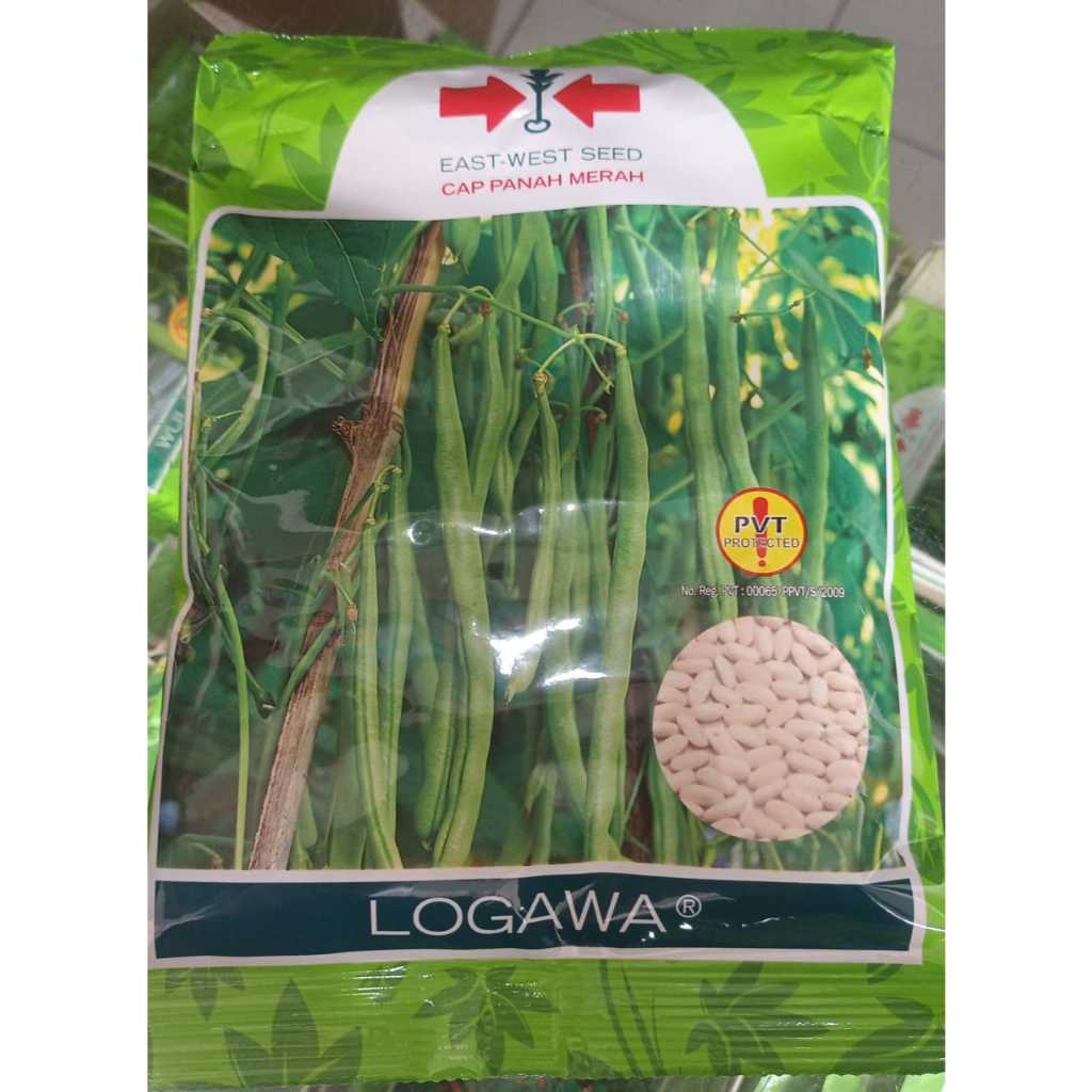 Benih UNGGUL  Buncis LOGAWA 500 GRAM