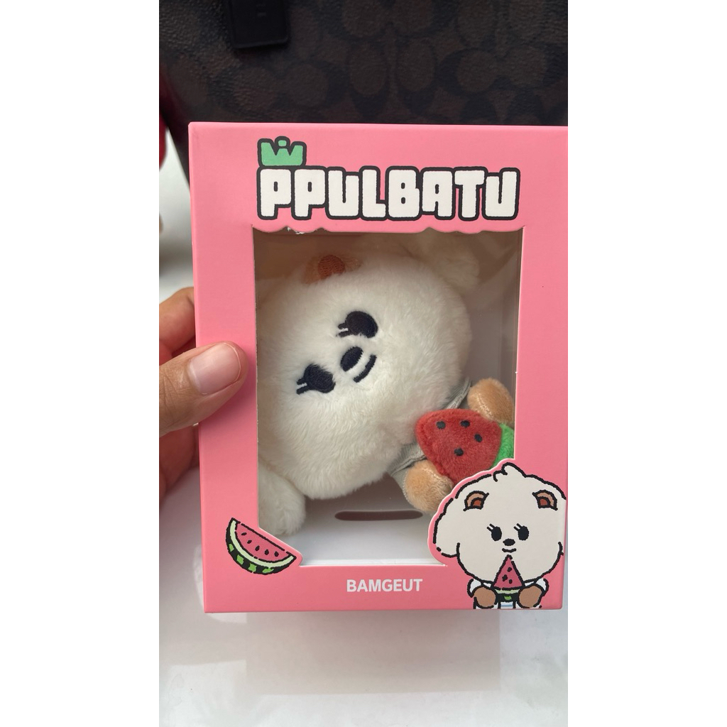 (Ready stock) ALBUM CORTIS Ppulbatu Bamgeut SEALED SIAP KIRIM