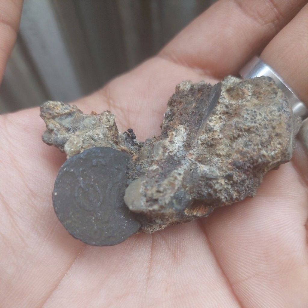 koin voc luctor 1728 dalam sedimen batu