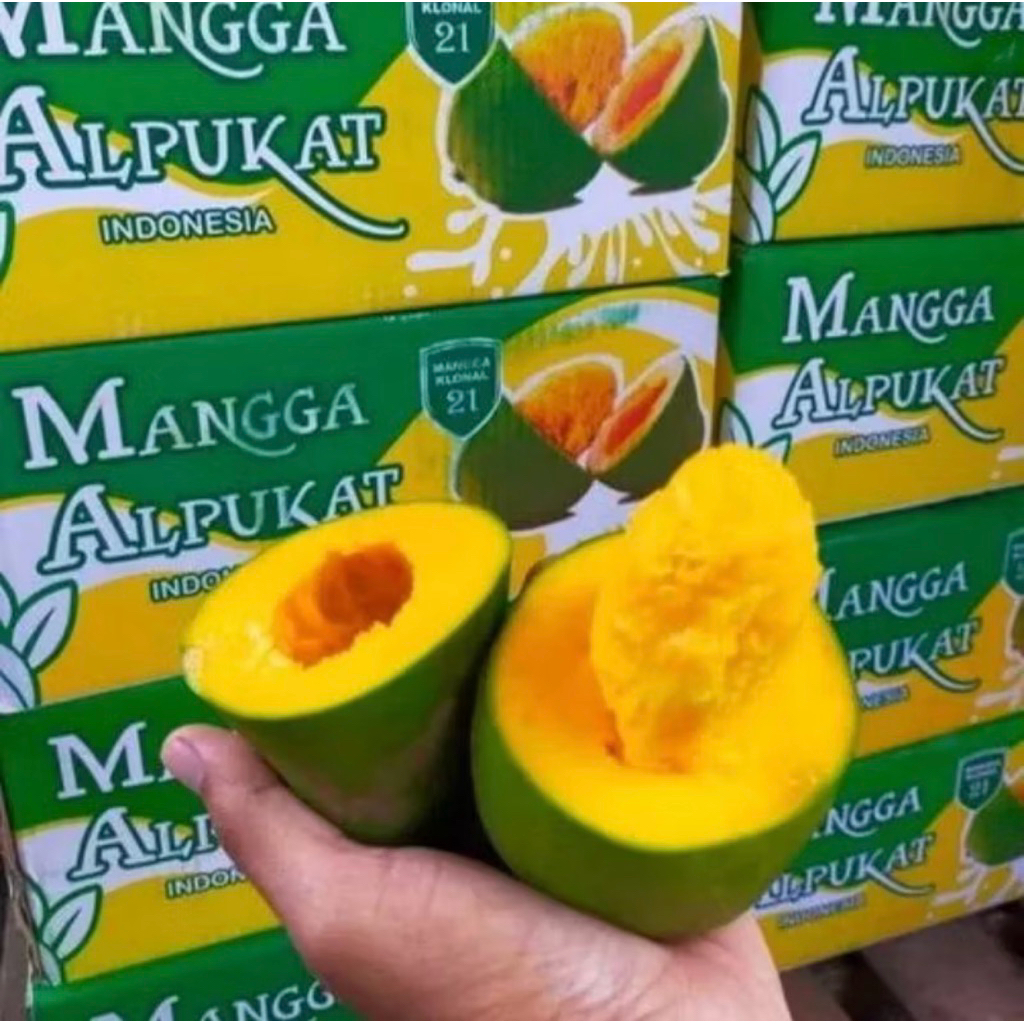 Mangga alpukat 1 dus 5 kg