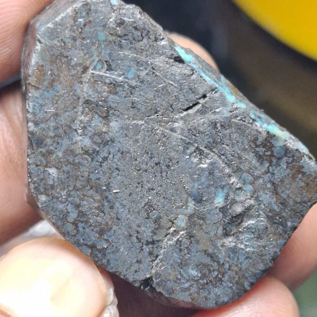 BACAN DOKO SERAT KURA dim 35x22x12