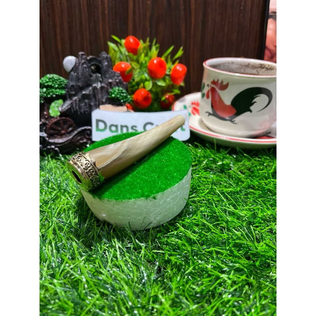 once alpaka tanduk bule