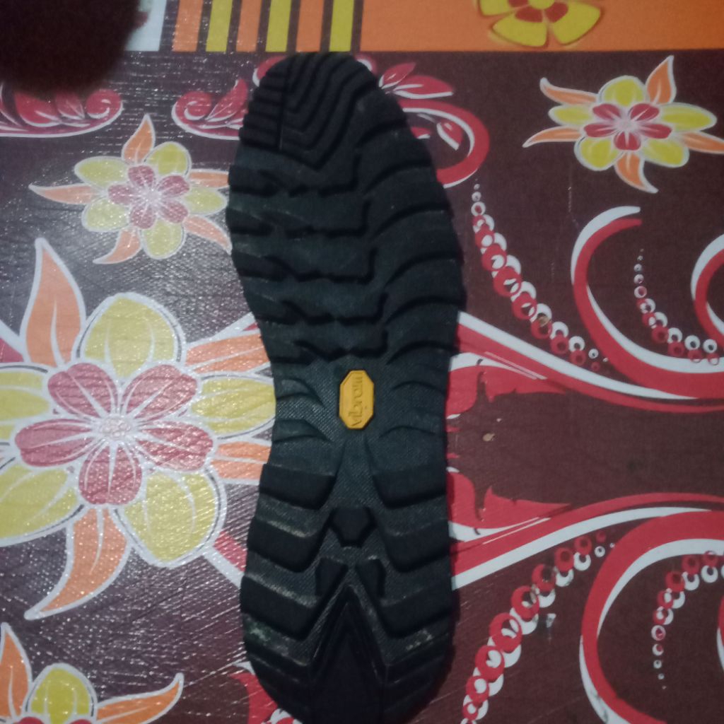 out sol Eiger tarantula