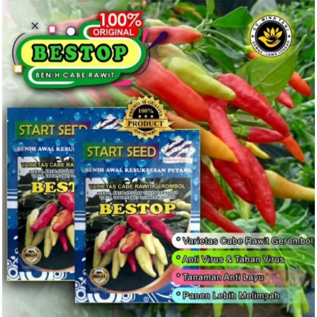 Bibit Cabe Rawit Unggul BESTOP Bibit Cabe Kaliber Unggul Tahan Virus Benih Cabe Rawit Unggul Bibit C