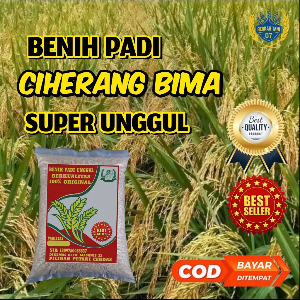 Benih padi ciherang bima super unggul 5kg