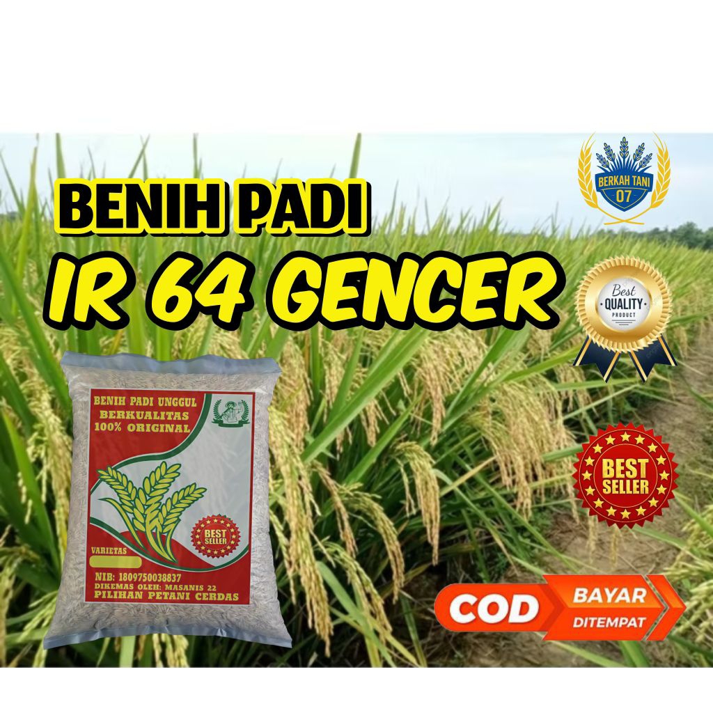 Benih padi ir 64 gencer berkualitas 5kg