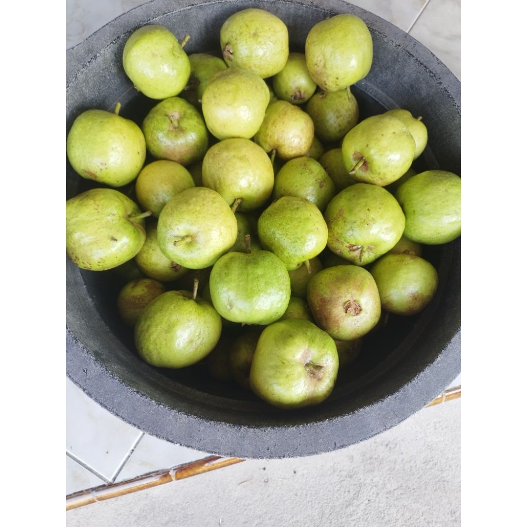 Jambu kristal merah dan jambu kristal putih 1kg 15.000