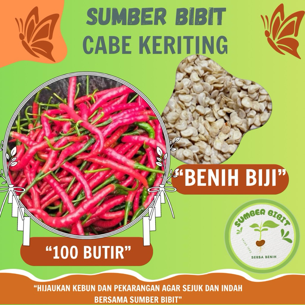 Sumber Bibit Reapack 100 Butir Biji Bibit Cabe Keriting CMK Tahan Virus