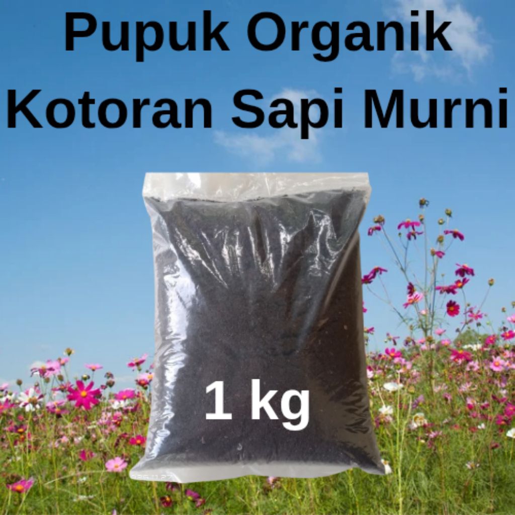 Pupuk Organik Kotoran Sapi Murni
