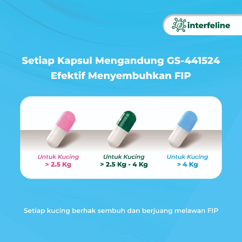 Obat FIP Kucing Interfeline - Oral Kapsul Pengobatan Kucing FIP / Obat Kucing FIP / Pil Antivirus Ku