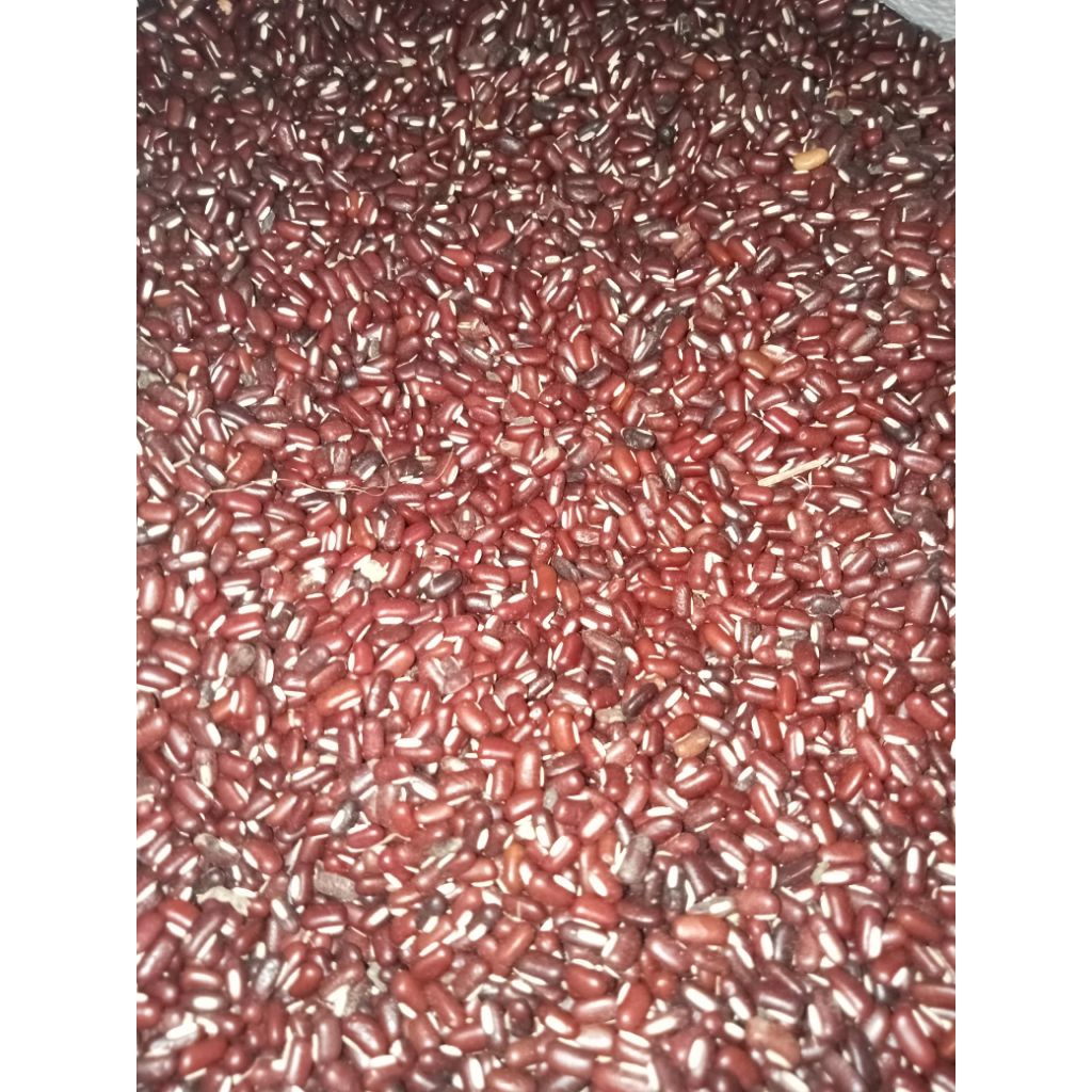 KACANG ES LOKAL/KACANG MERAH/TAUSA 1KG