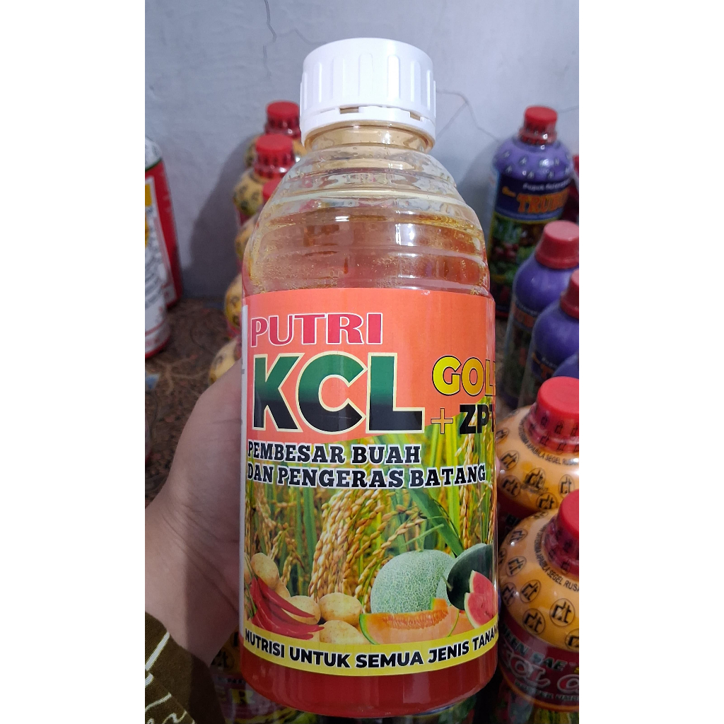 KCL Cair Gold +ZPT 1Liter PUTRI