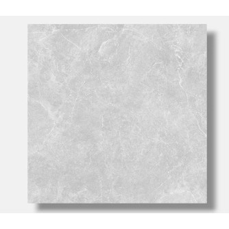 Asia Tile Keramik Lantai / Keramik Florida grey 50X50