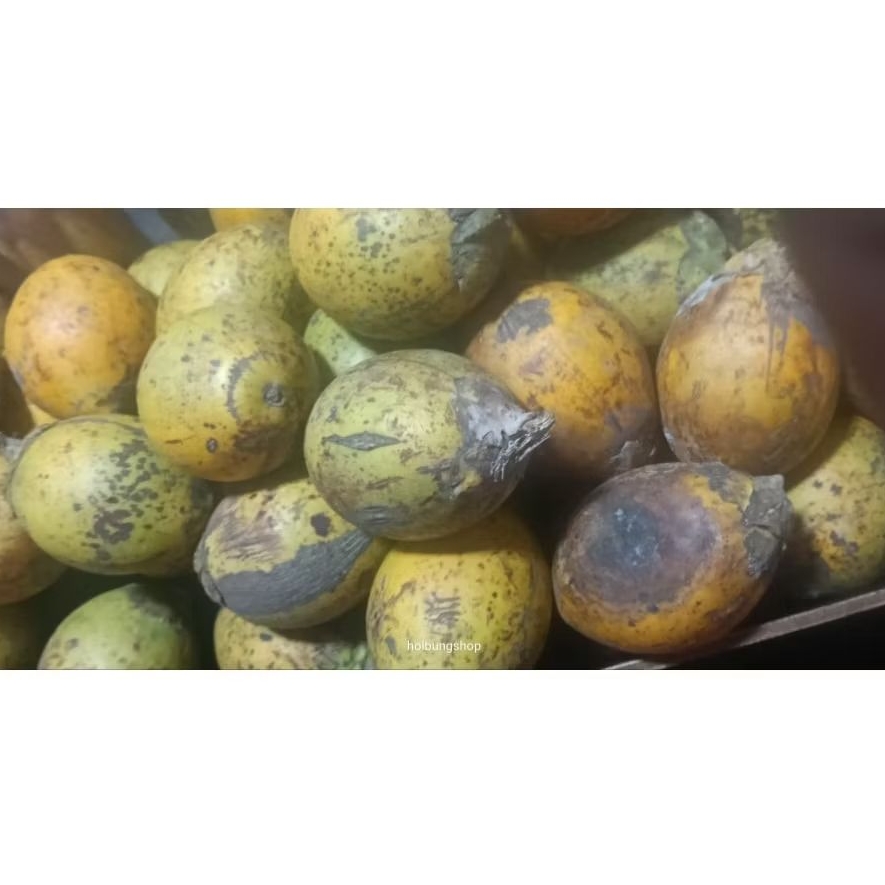 pinang wangi,pinang Medan asli 3 buah