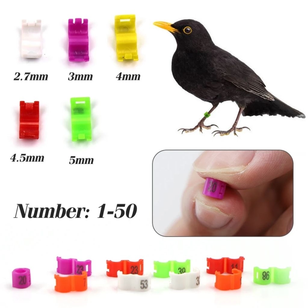 RING BURUNG BIRD CLIP RING BURUNG DEWASA KENARI MURAI LOVEBIRD PERKUTUT ANIS KACER DLL