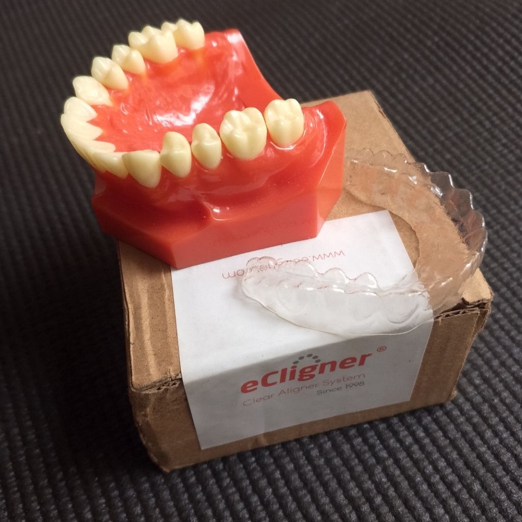 Typodont Model Gigi Tiruan Aligner ecligner Clear Aligner System