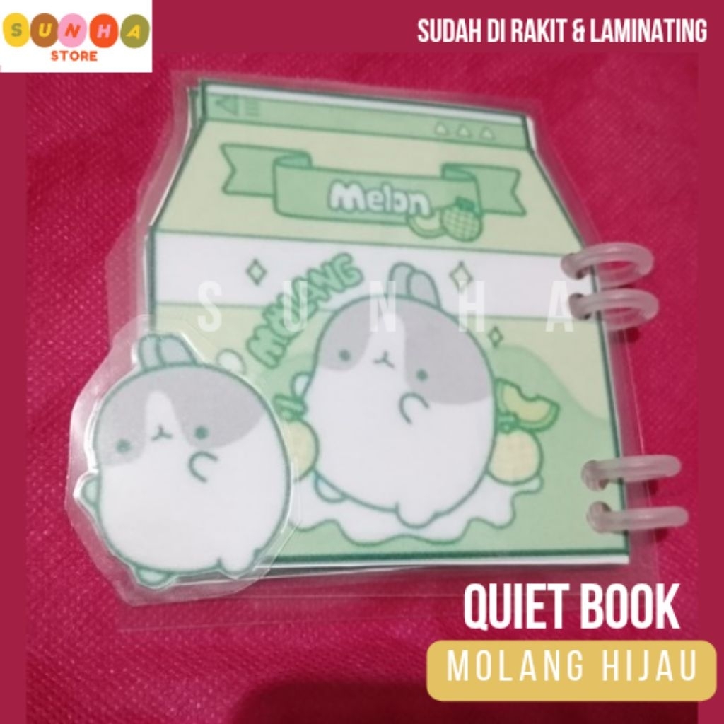 Quiet book molang melon/ paper doll book rumah molang hijau