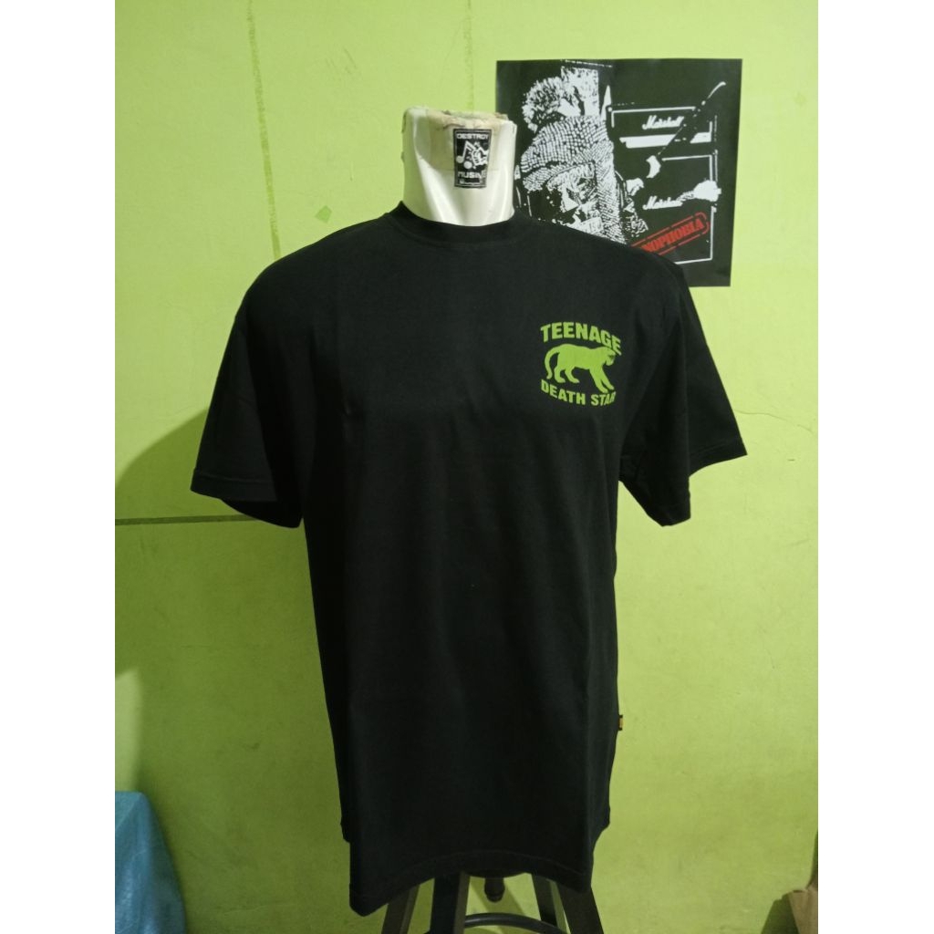 [kaos band] Teenage Death Star - Indian Summer