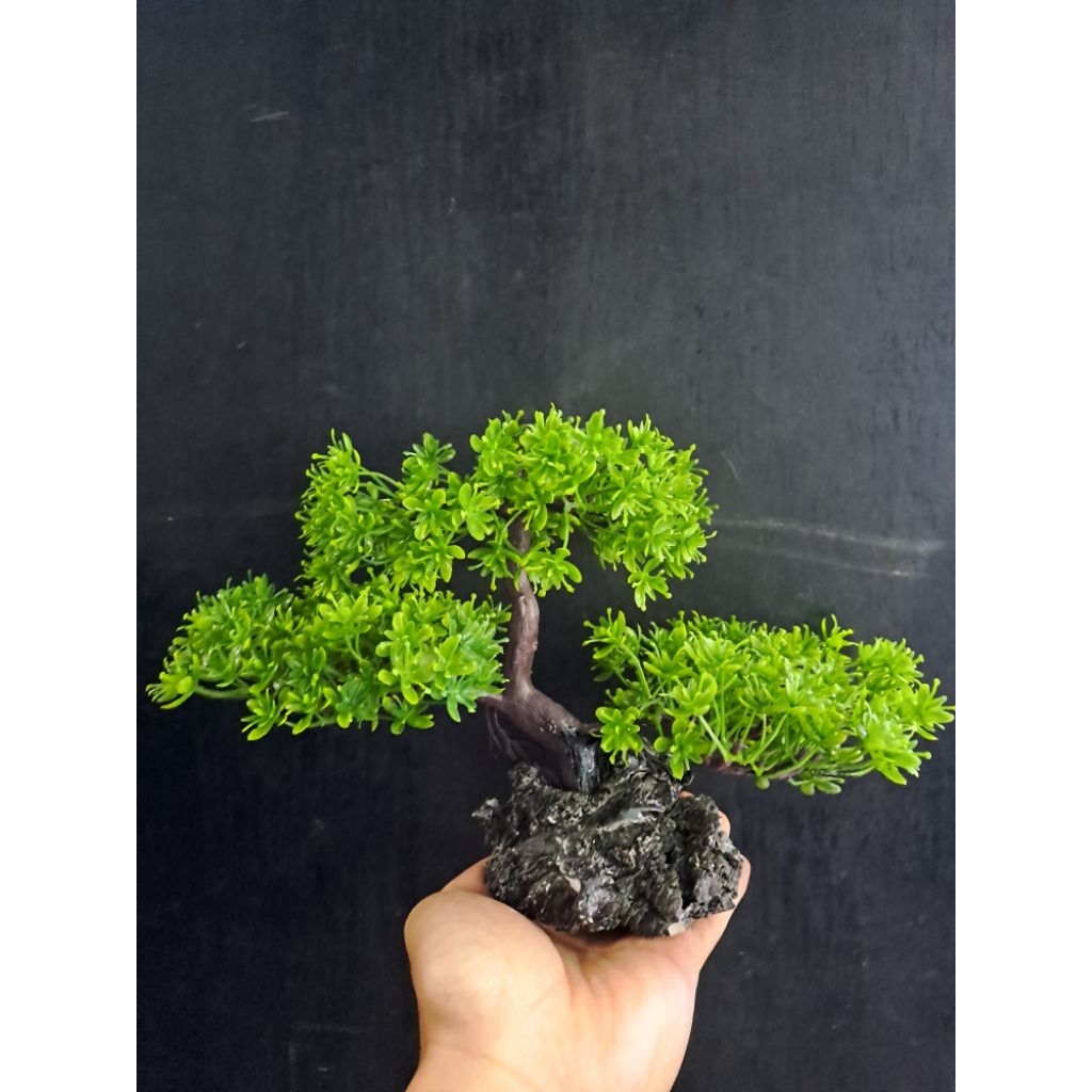 Hiasan Akuarium Pohon Bonsai / Hiasan Bunga Bonsai Akuarium / Hiasan Pohon Bonsai Akuarium / Hiasan 