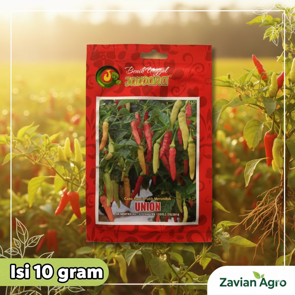 Benih cabe rawit putih UNION Isi 10 gr. Bibit cabe rawit unggul