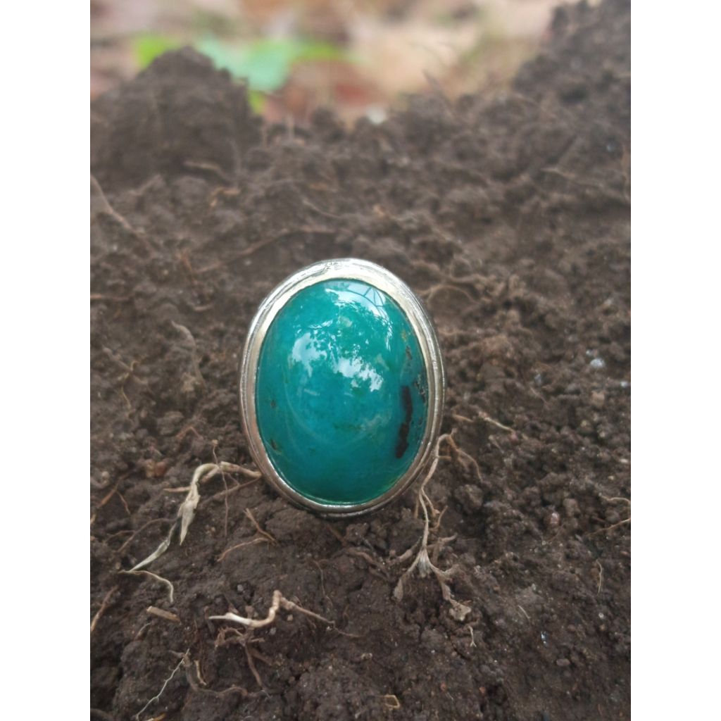 BACAN DOKO LAWASAN ASLI ORIGINAL