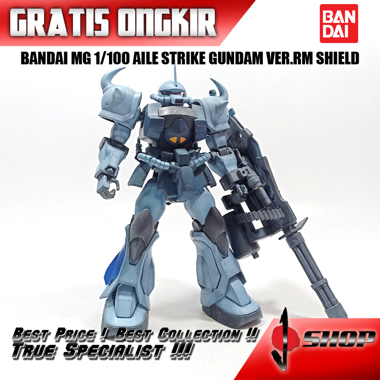 BANDAI MG 1/100 GOUF CUSTOM MG1930