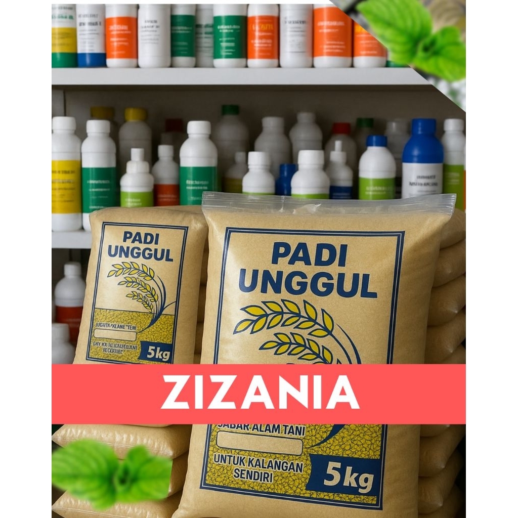 benih padi ZIZANIA kemasan 5 kg