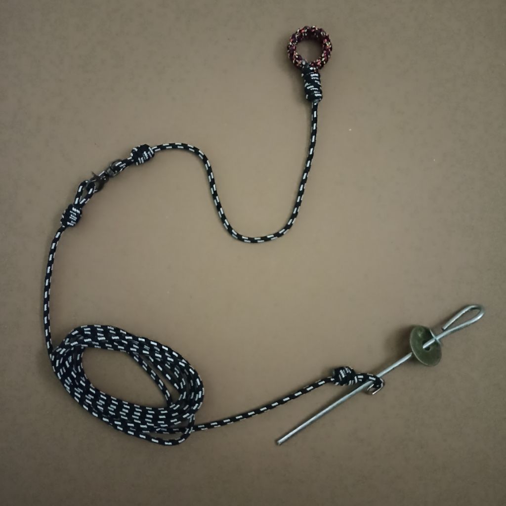 Tali Kaki Umbar Ayam Jago Premium Ukuran Besar Anti Melintir Plus Pasak