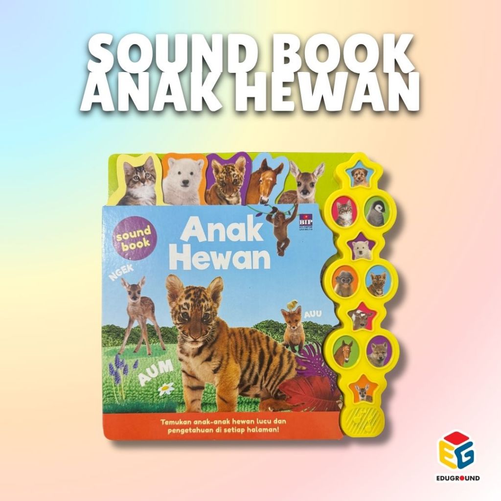 Big Sound Book Anak Hewan