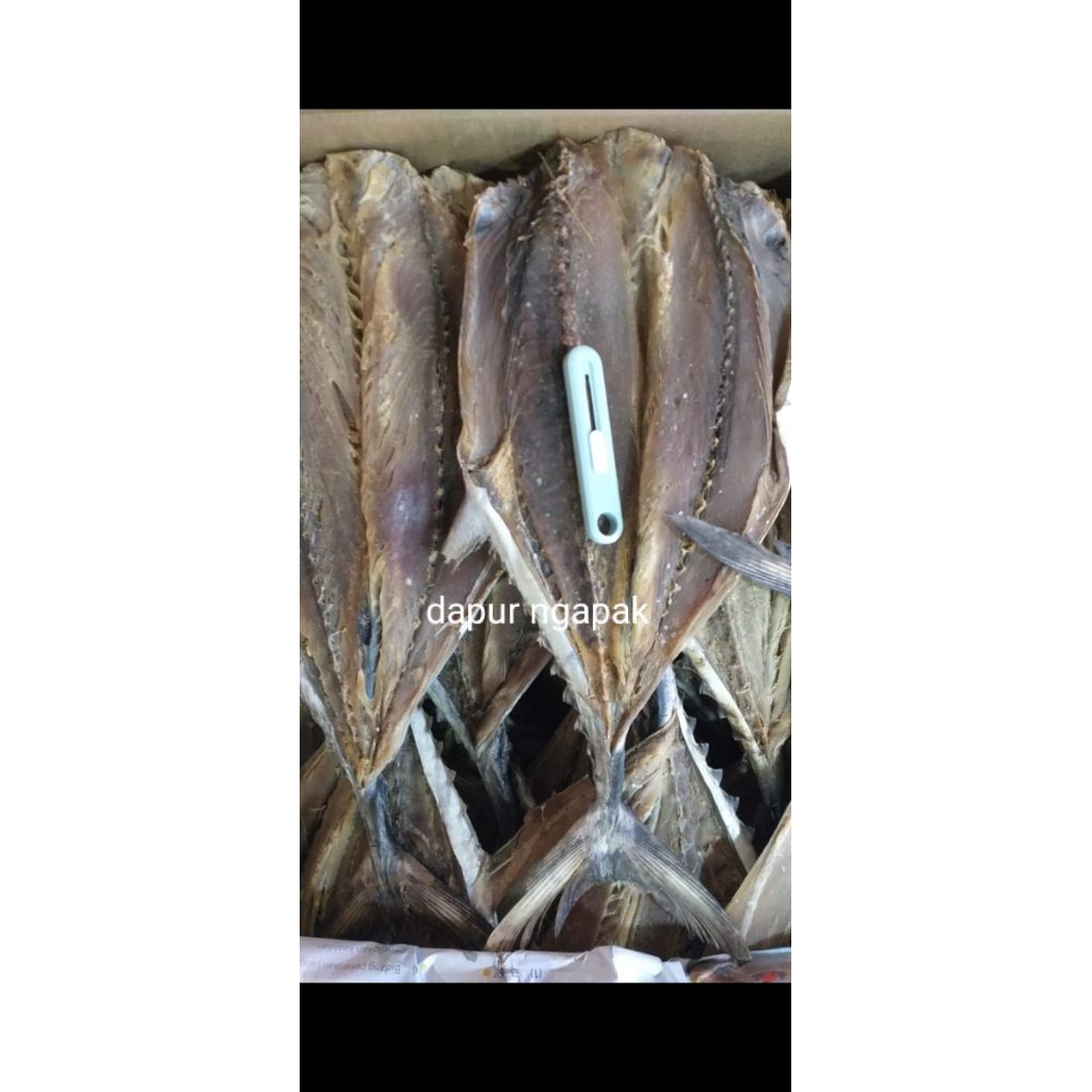ikan asin tongkol 250g,500g,1000g/1kg