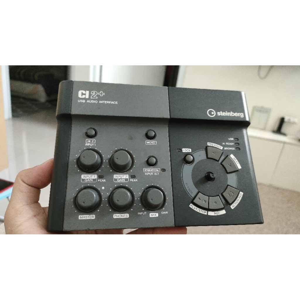 steinberg CI 2+