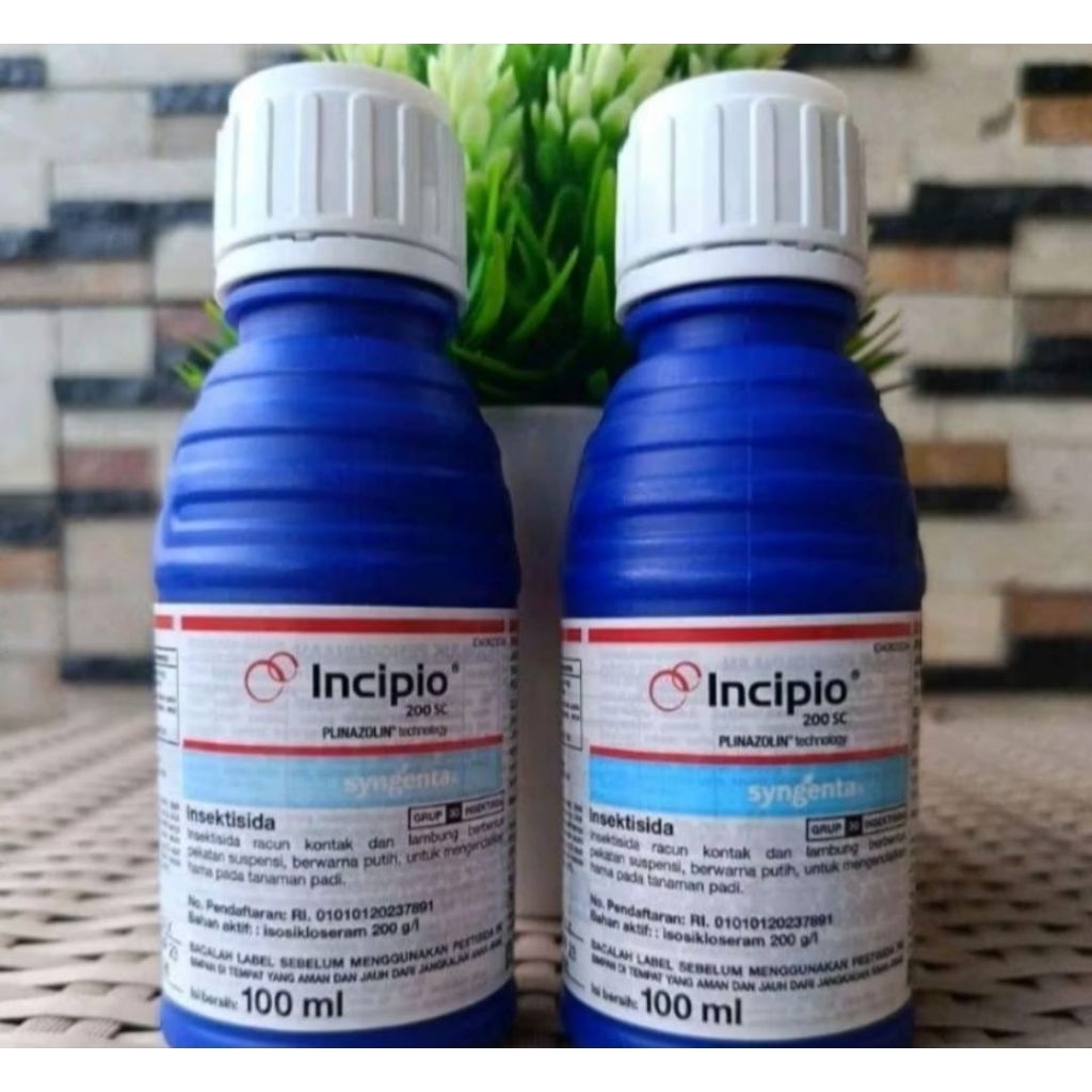 Incipio 100 ml