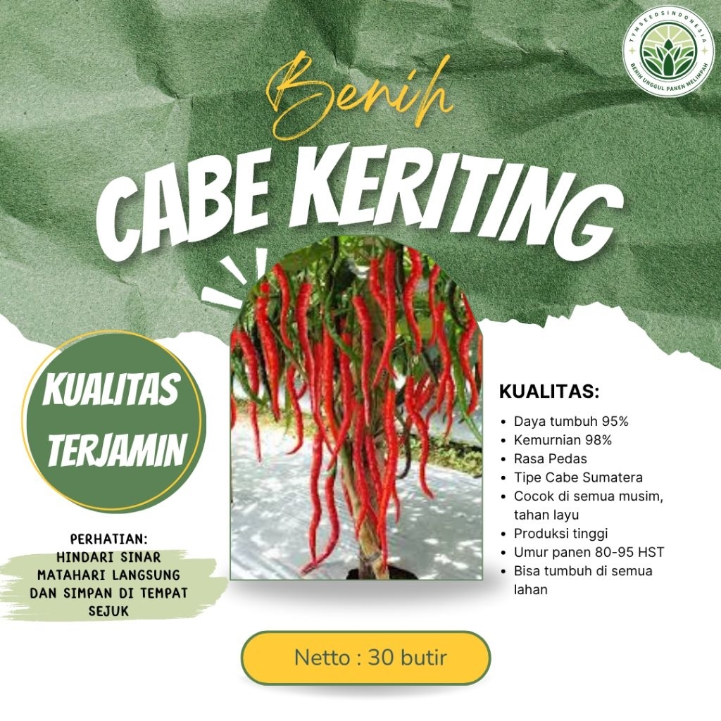 Benih Super Cabe Keriting