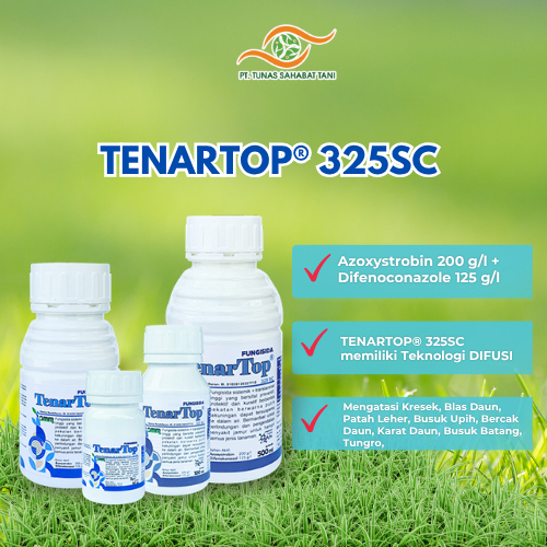 (Kemasan 500ml) TenarTop 325 SC 500 ML / Tenartop 500ml