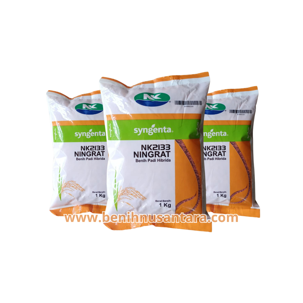 Benih Padi Hibrida NK Ningrat NK2133 Syngenta