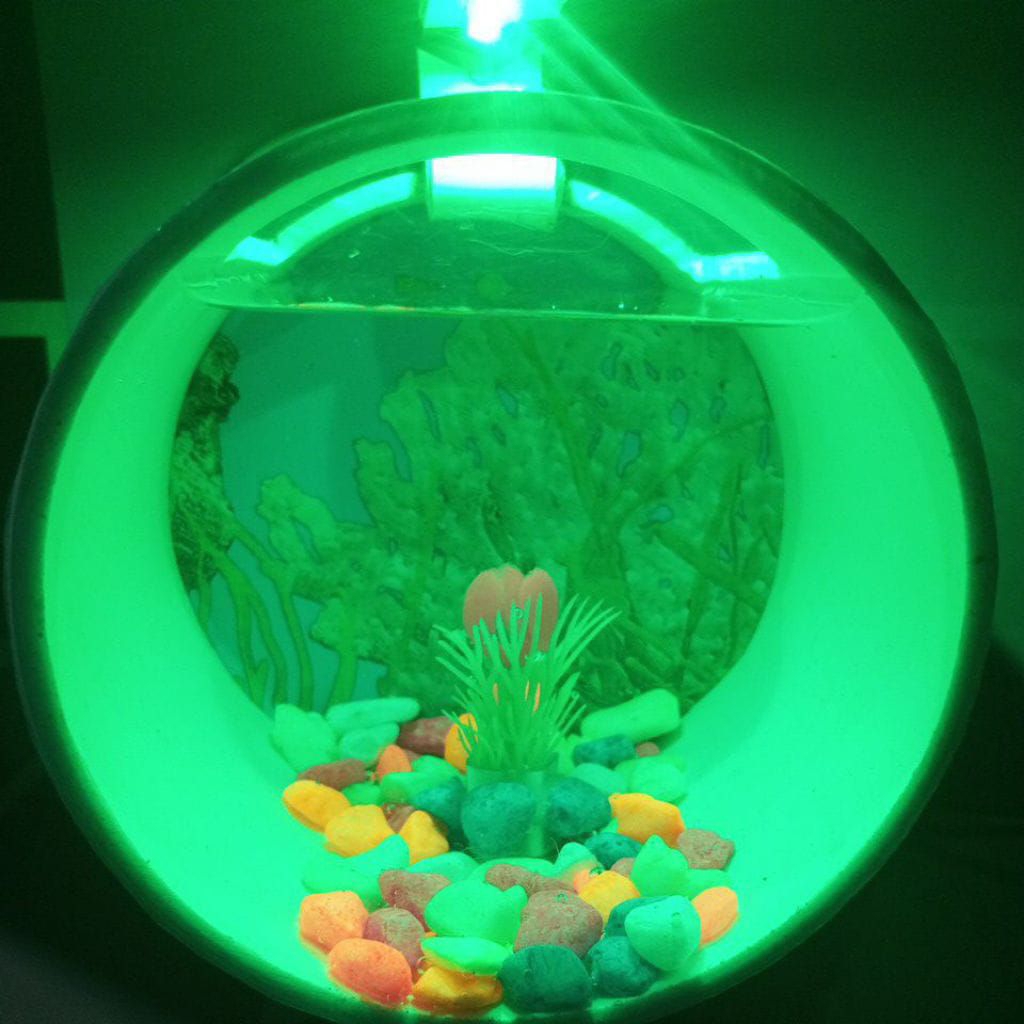 Aquarium Mini Bentuk Bulat Fullset Untuk Ikan Cupang Ikan Hias