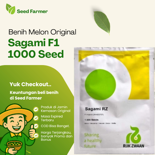 Benih Bibit Melon RZ Sagami 1000 Seed Kemasan Pabrik Original Melon Manis