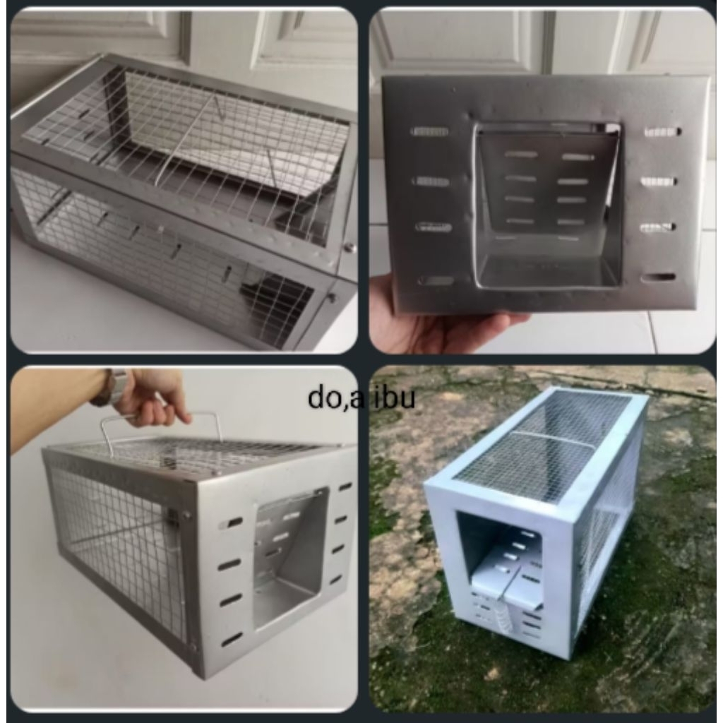 perangkap jebakan tikus masal jebakan tikus hama