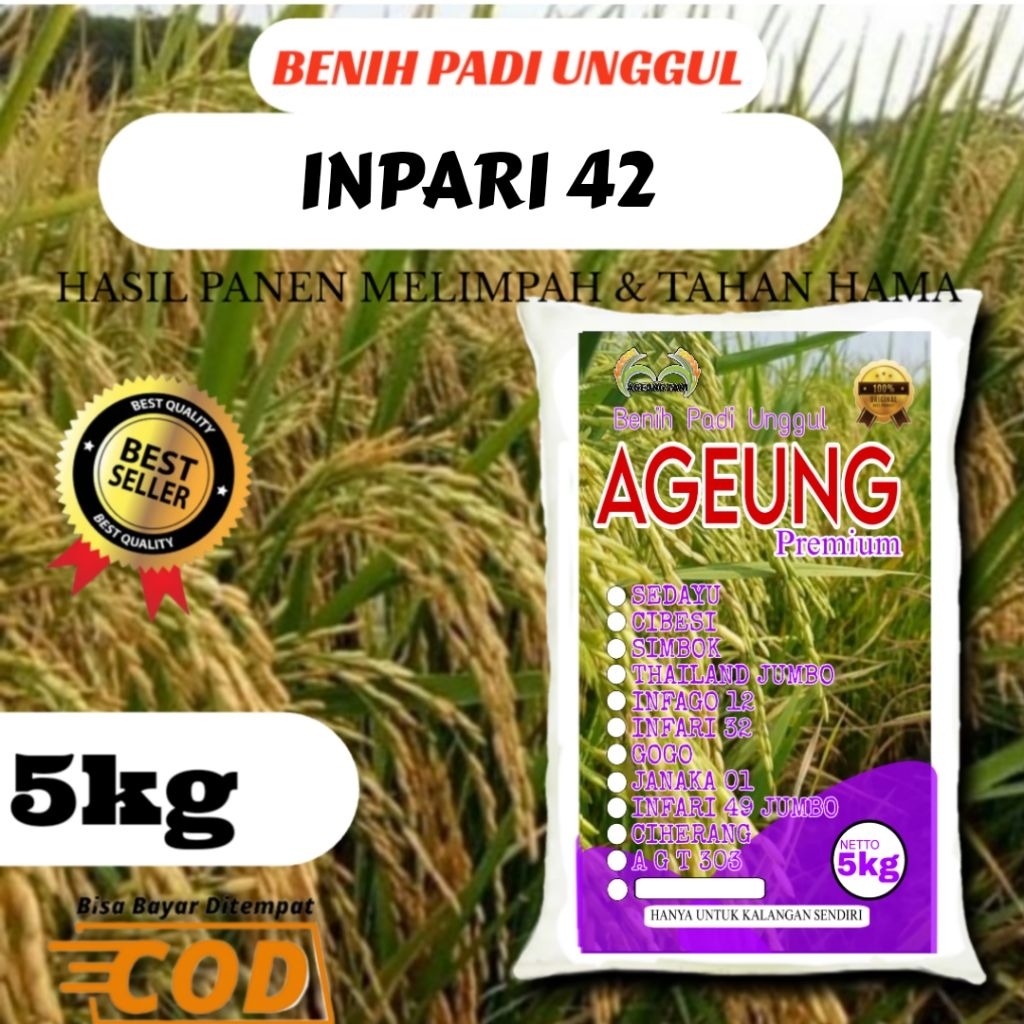 BENIH PADI UNGGUL INPARI 42 KEMASAN 5KG