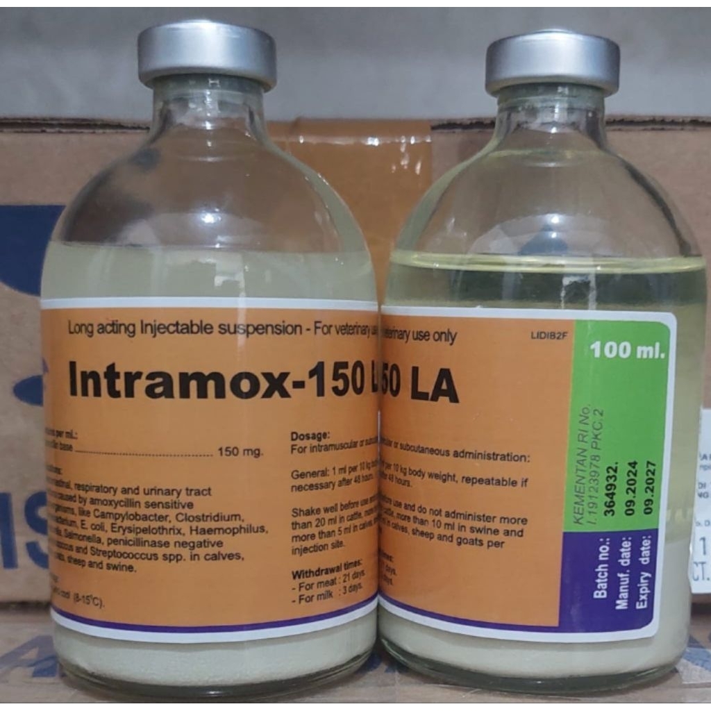 INTRAMOX-150 LA (antibiotik Amoxycillin untuk  ternak)
